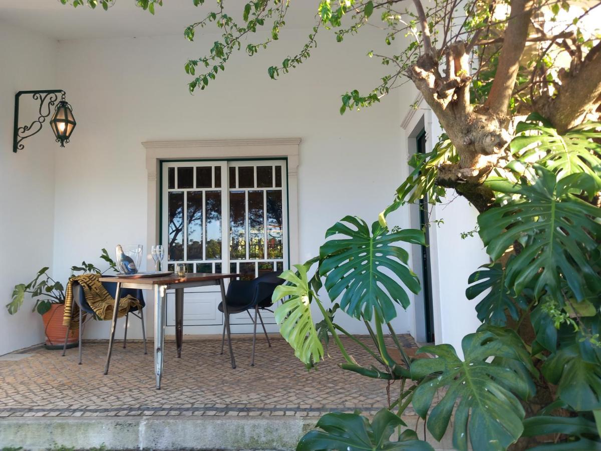 The Space - Central Portugal Apartamento Fungalvaz Exterior foto